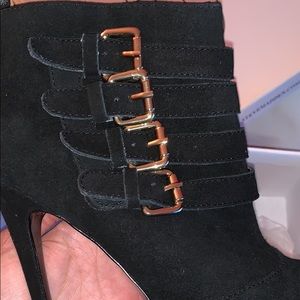 Steve Madden Booties (Brand New in Box)
